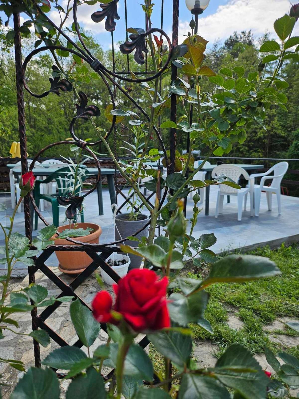 Orehite-Family Hotel ,Food & Pool Bozhichen Екстер'єр фото